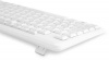 Клавиатура + мышь OKLICK S650 клав:белый мышь:белый USB (1875257)